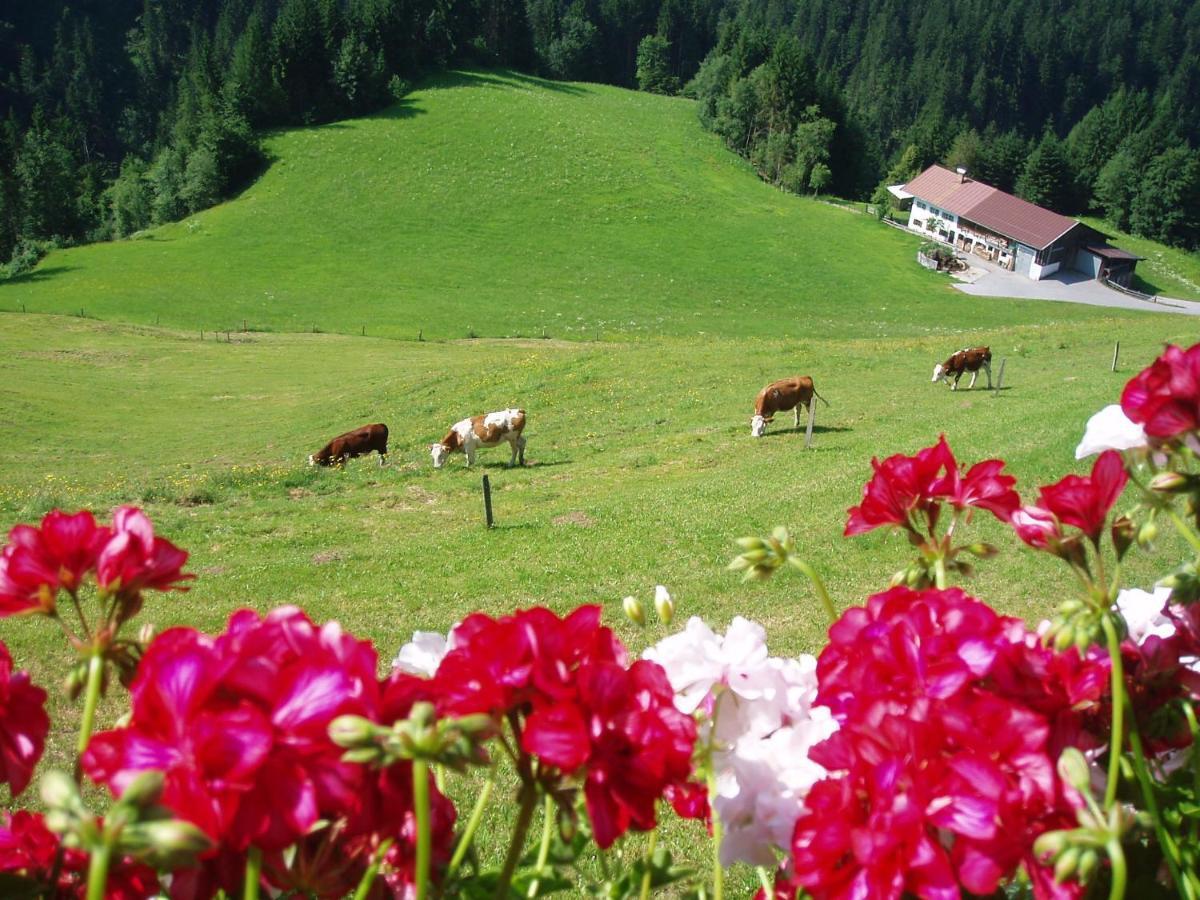 Ferienwohnung Hinterreith-Hof Hochfilzen Exterior foto